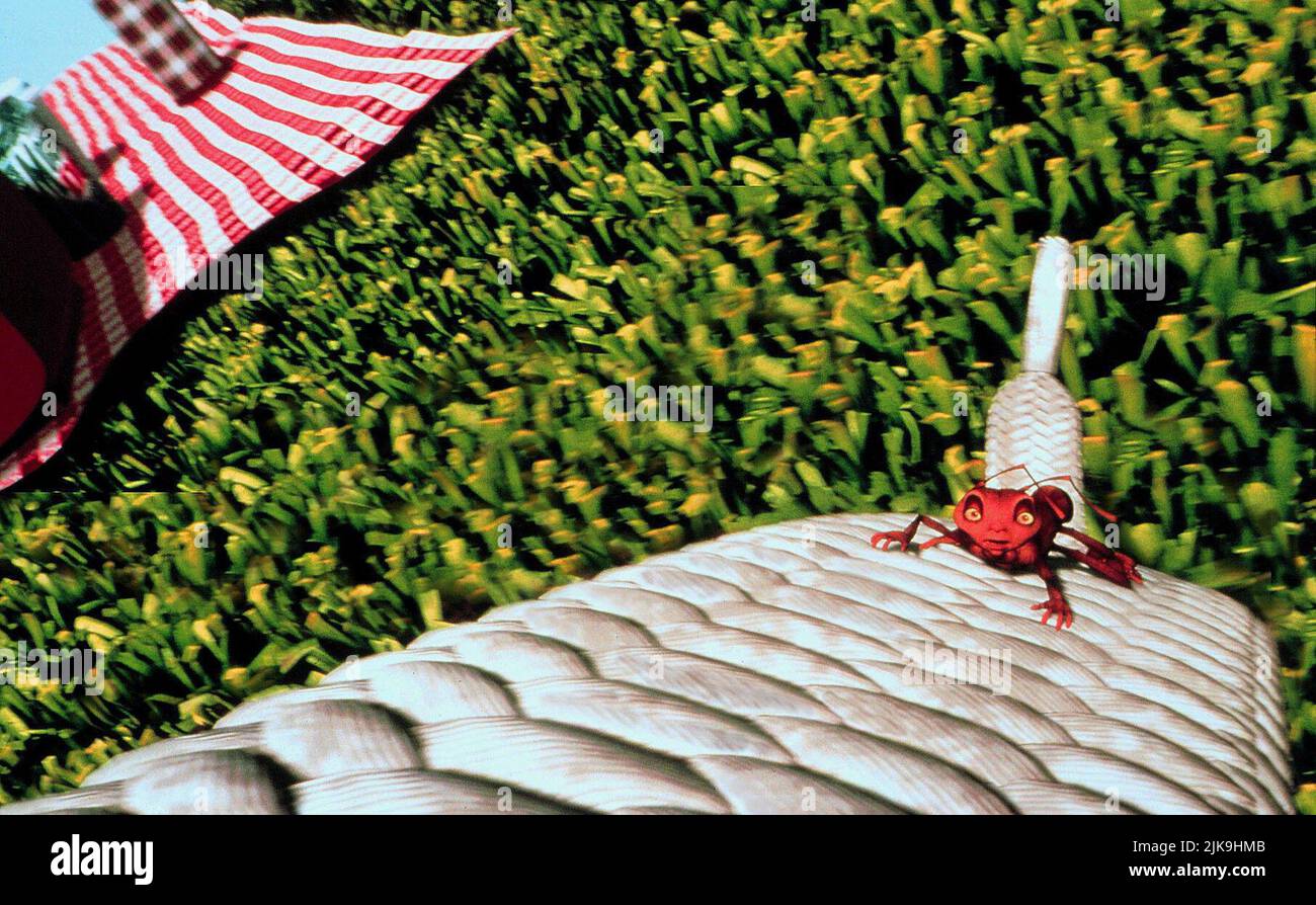 Z Film: Antz (1998) Characters: Z  Director: Eric Darnell & Tim Johnson 19 September 1998   **WARNING** This Photograph is for editorial use only and is the copyright of DREAMWORKS and/or the Photographer assigned by the Film or Production Company and can only be reproduced by publications in conjunction with the promotion of the above Film. A Mandatory Credit To DREAMWORKS is required. The Photographer should also be credited when known. No commercial use can be granted without written authority from the Film Company. Stock Photo