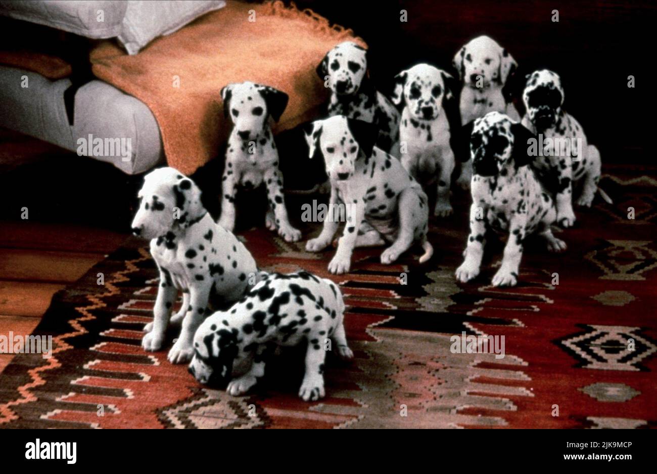 101 dalmatians film hi-res stock photography and images - Alamy