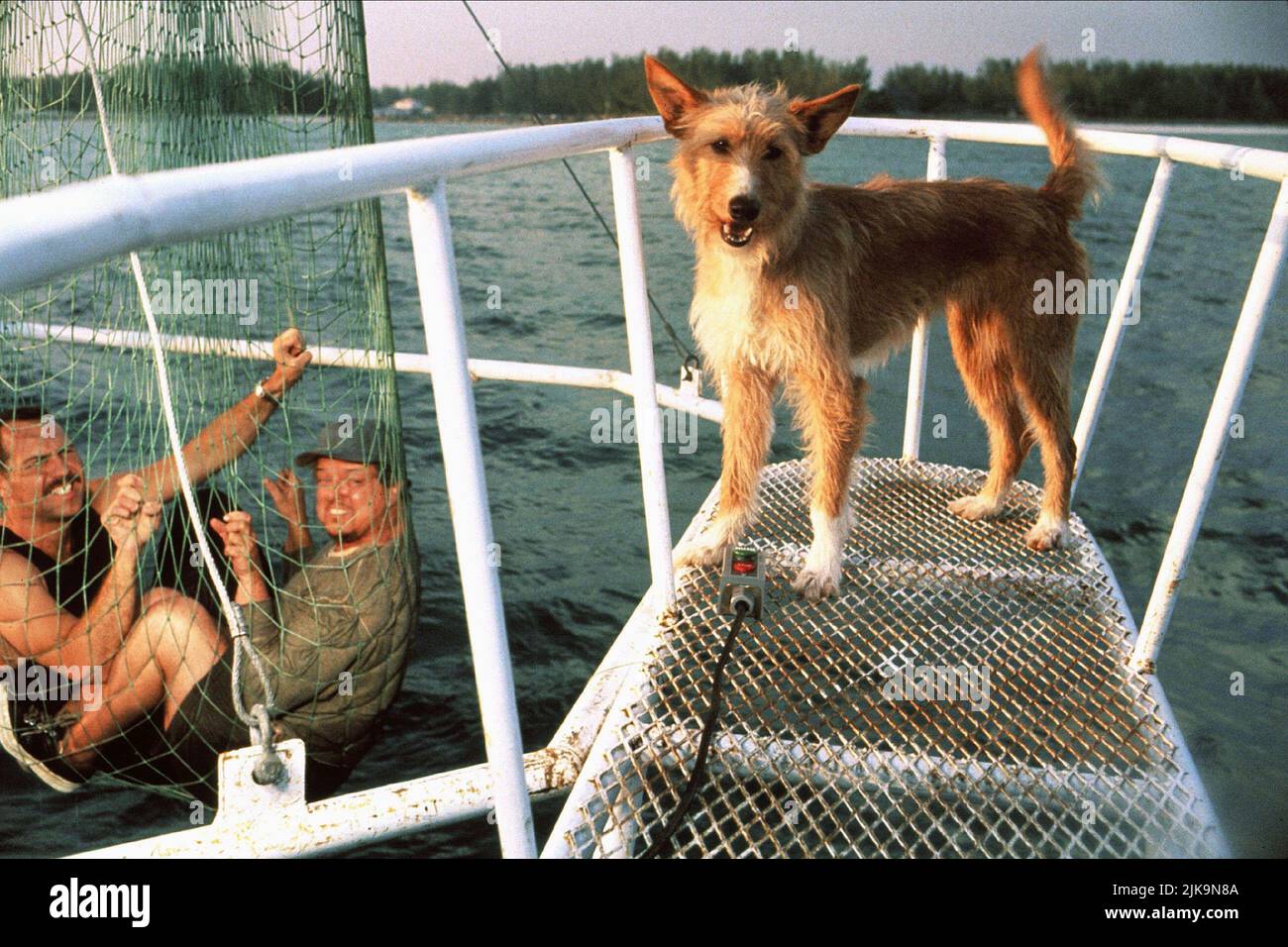 Zeus The Dog Film Zeus And Roxanne (1997) Director Miller 24