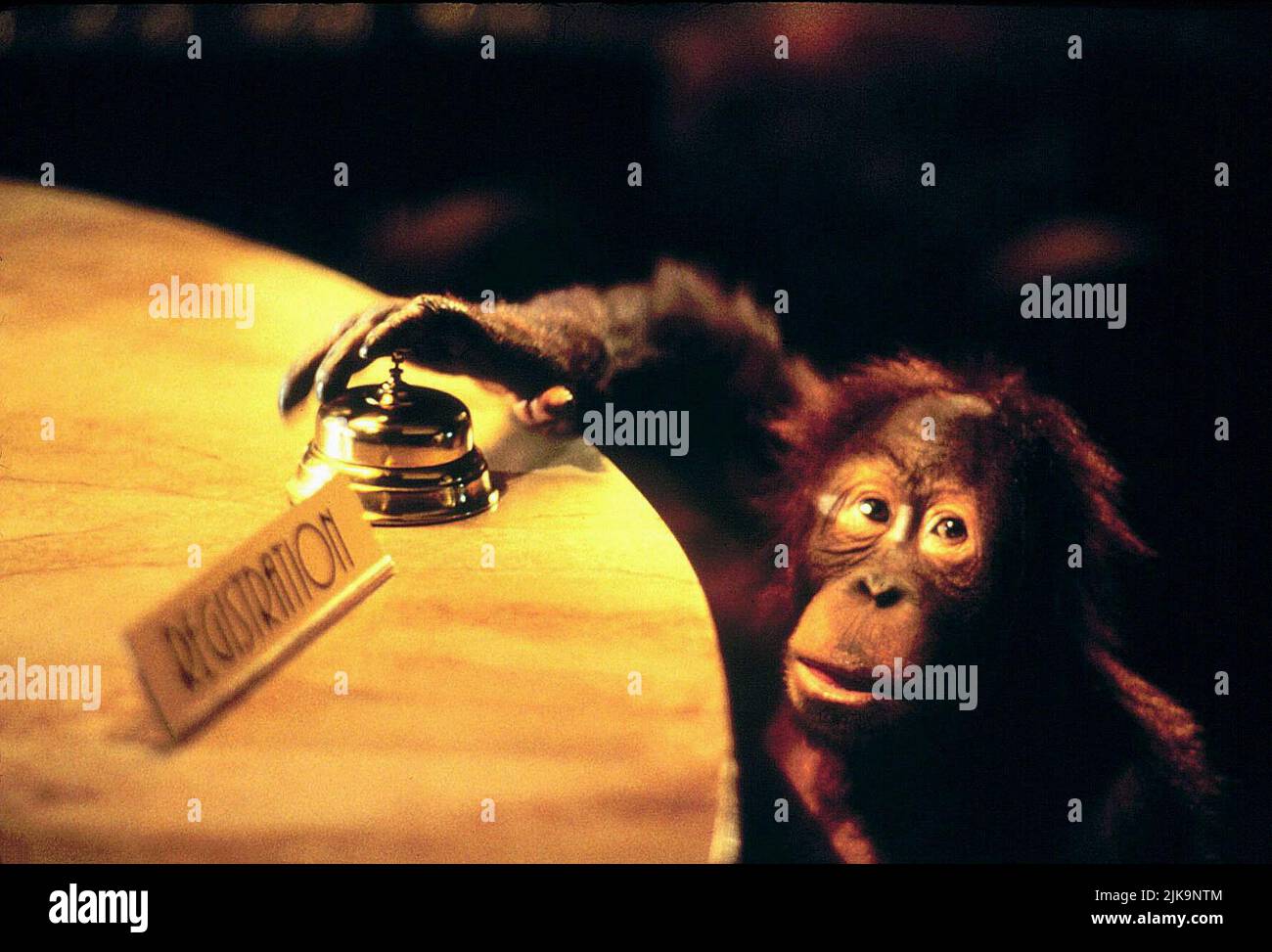 Orangutan film dunston checks in 1996 director ken kwapis 01 june