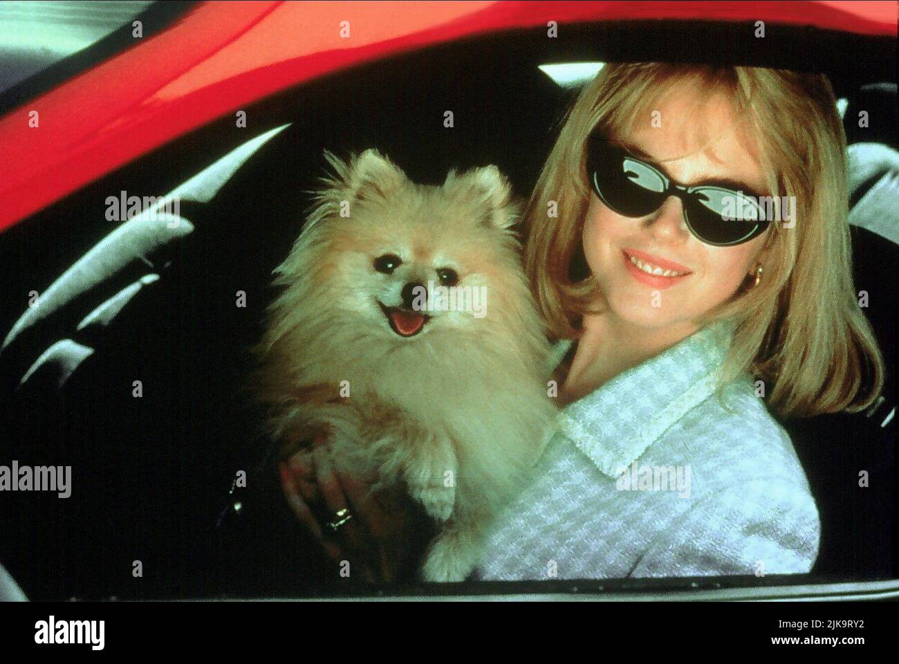 Nicole Kidman & Dog Film: To Die For (USA/CAN/UK 1995) Characters: Suzanne Stone Maretto &  Director: Gus Van Sant 20 May 1995   **WARNING** This Photograph is for editorial use only and is the copyright of COLUMBIA and/or the Photographer assigned by the Film or Production Company and can only be reproduced by publications in conjunction with the promotion of the above Film. A Mandatory Credit To COLUMBIA is required. The Photographer should also be credited when known. No commercial use can be granted without written authority from the Film Company. Stock Photo