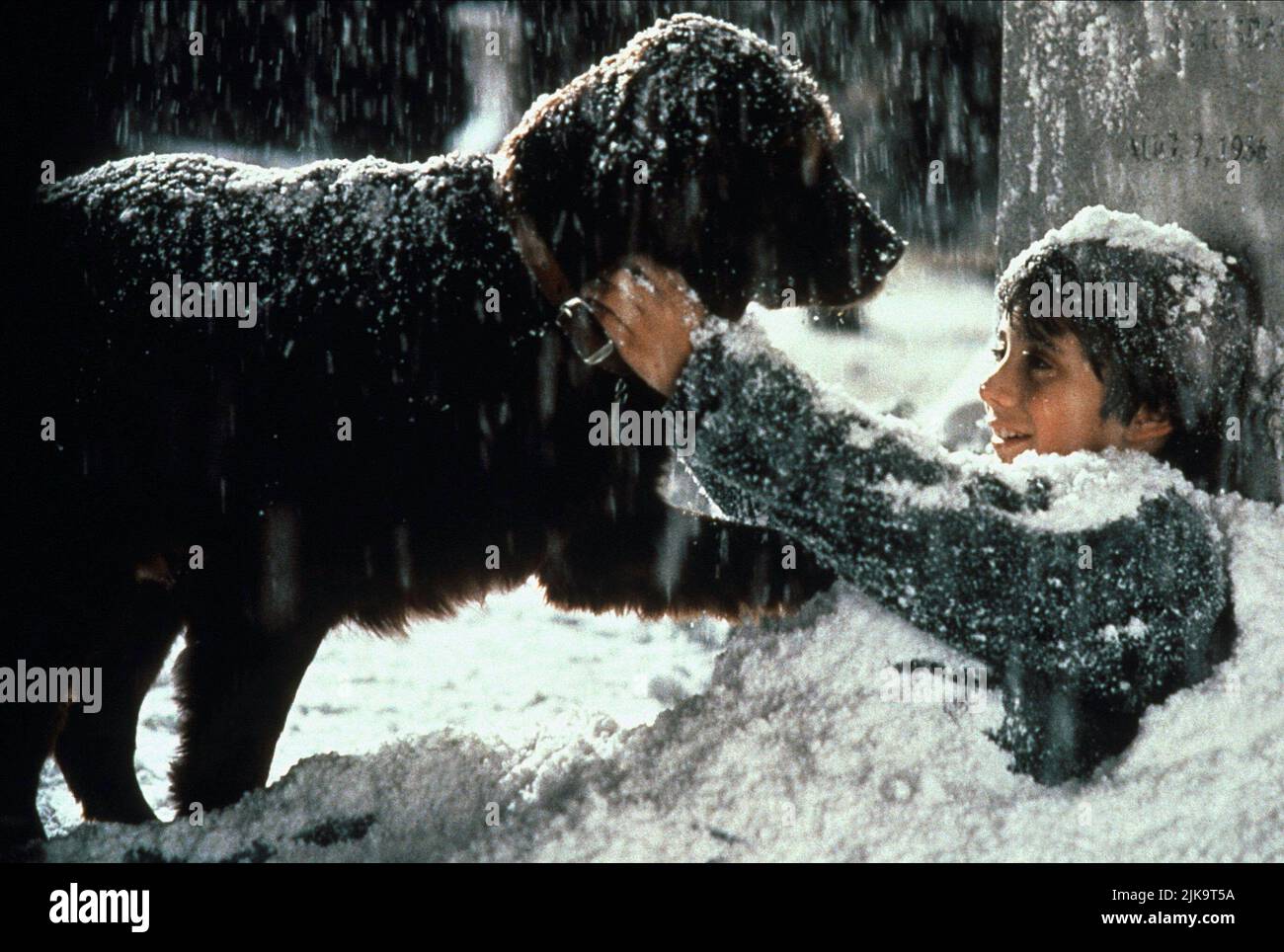 Max Pomeranc & Dog Film: Fluke (1995) Characters: Brian Johnson &  Director: Carlo Carlei 02 June 1995   **WARNING** This Photograph is for editorial use only and is the copyright of MGM and/or the Photographer assigned by the Film or Production Company and can only be reproduced by publications in conjunction with the promotion of the above Film. A Mandatory Credit To MGM is required. The Photographer should also be credited when known. No commercial use can be granted without written authority from the Film Company. Stock Photo