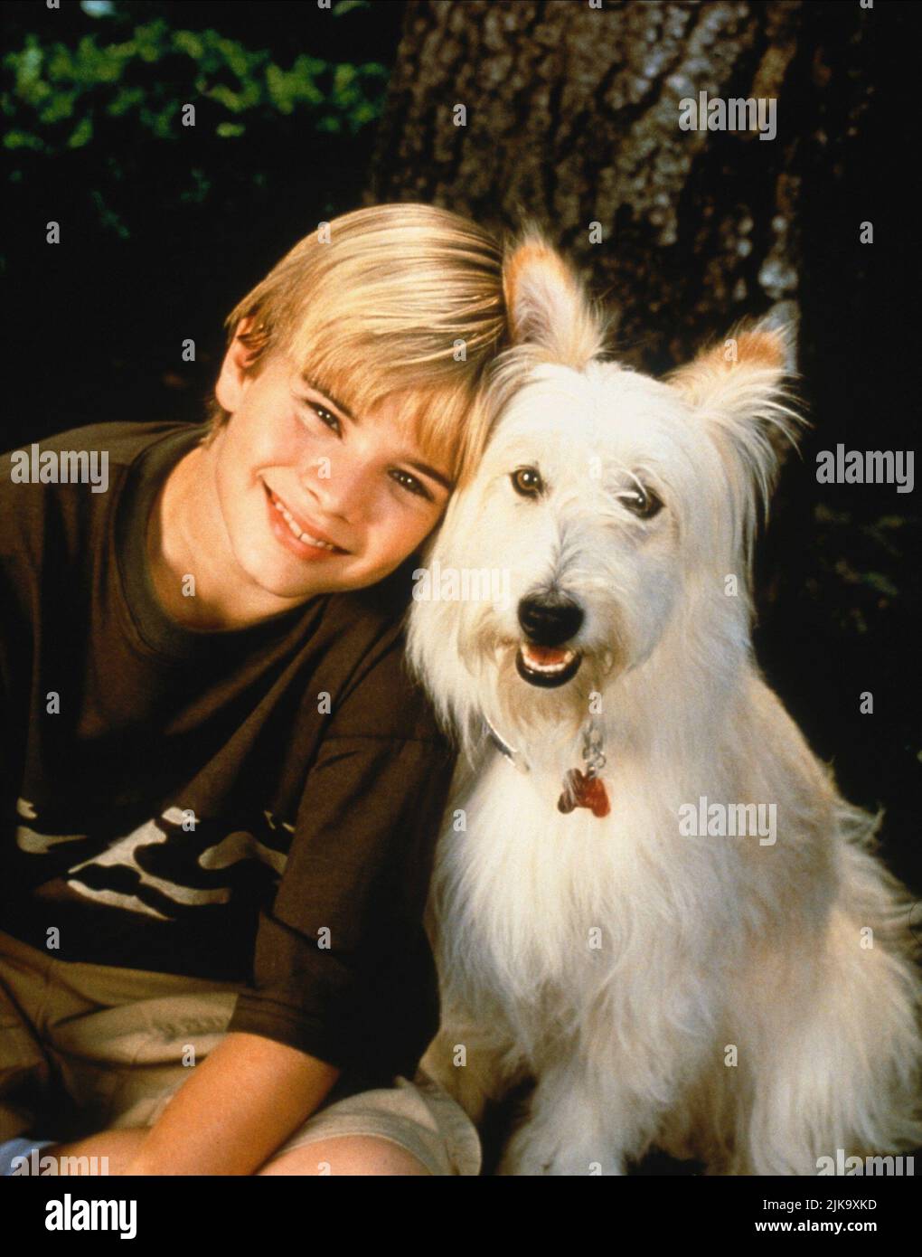 David Gallagher & Dog Happy Television: 7th Heaven (TV-Serie)   Usa 1996-2007, 26 August 1996   **WARNING** This Photograph is for editorial use only and is the copyright of SPELLING TV and/or the Photographer assigned by the Film or Production Company and can only be reproduced by publications in conjunction with the promotion of the above Film. A Mandatory Credit To SPELLING TV is required. The Photographer should also be credited when known. No commercial use can be granted without written authority from the Film Company. Stock Photo
