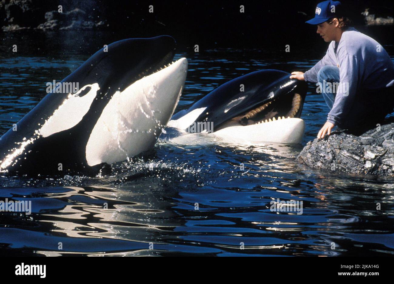 Jason James Richter Film: Free Willy 2: The Adventure Home (USA/FR 1995) Characters: Jesse  Director: Dwight H. Little 19 July 1995   **WARNING** This Photograph is for editorial use only and is the copyright of WARNER BROS. and/or the Photographer assigned by the Film or Production Company and can only be reproduced by publications in conjunction with the promotion of the above Film. A Mandatory Credit To WARNER BROS. is required. The Photographer should also be credited when known. No commercial use can be granted without written authority from the Film Company. Stock Photo