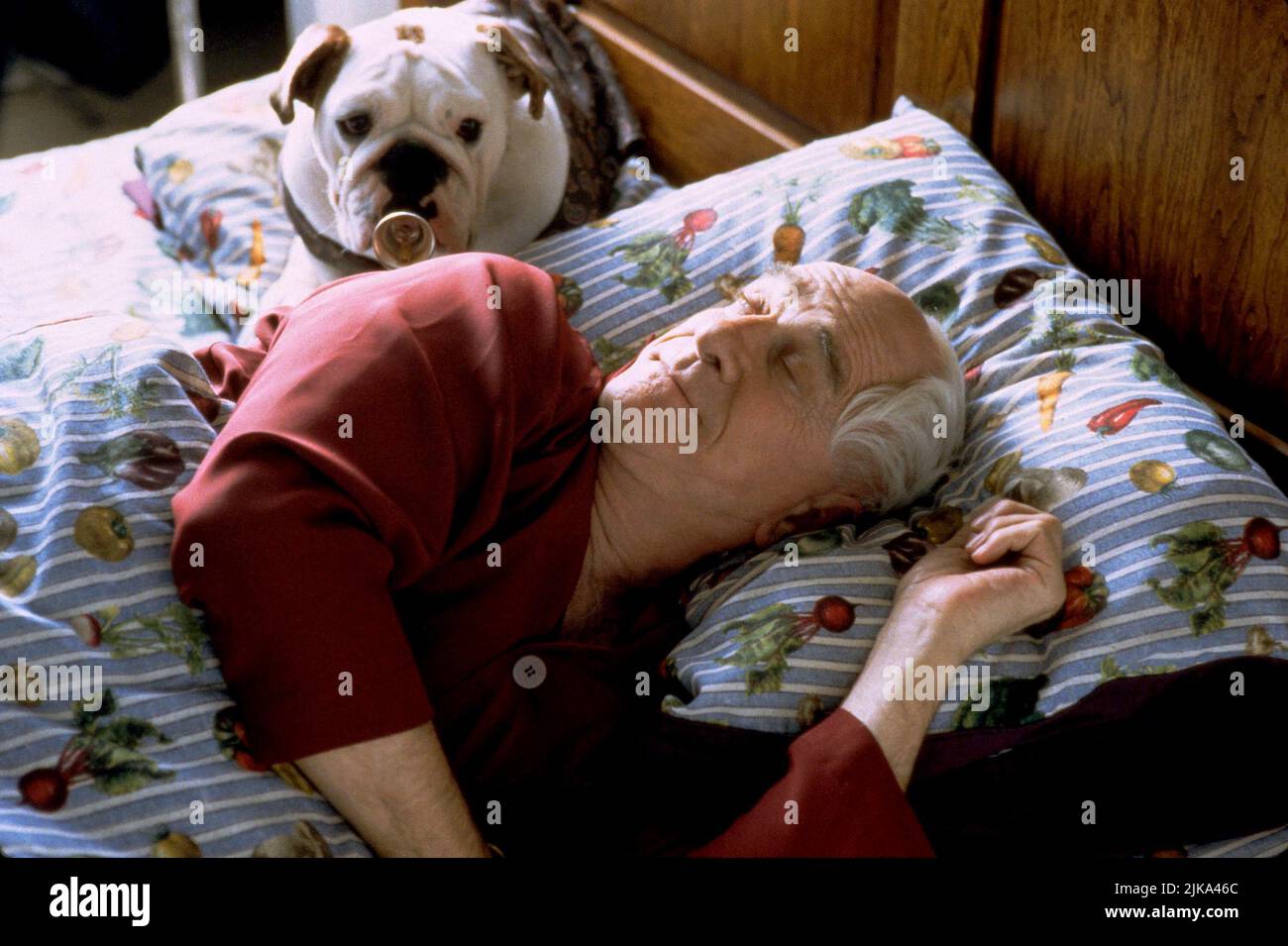 Mr Magoo Leslie Nielsen