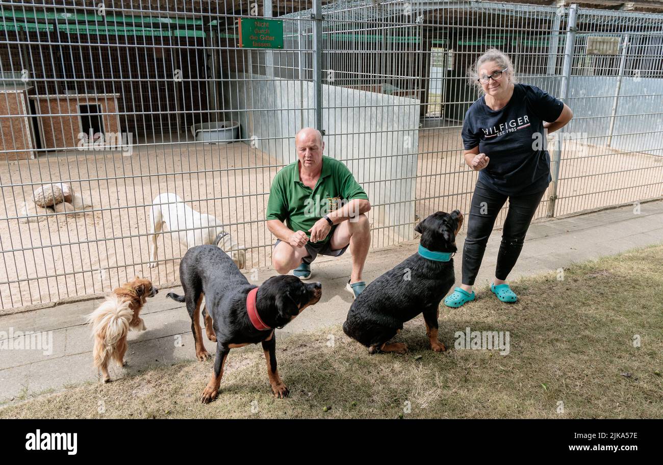 Schwerin, Germany. 30th July, 2022. Ilka Dittberner, shelter manager, and  Daniel Heese, animal caretaker at the Schwerin shelter, deal with dogs.  During the Corona lockdowns, pets were in demand. At least some