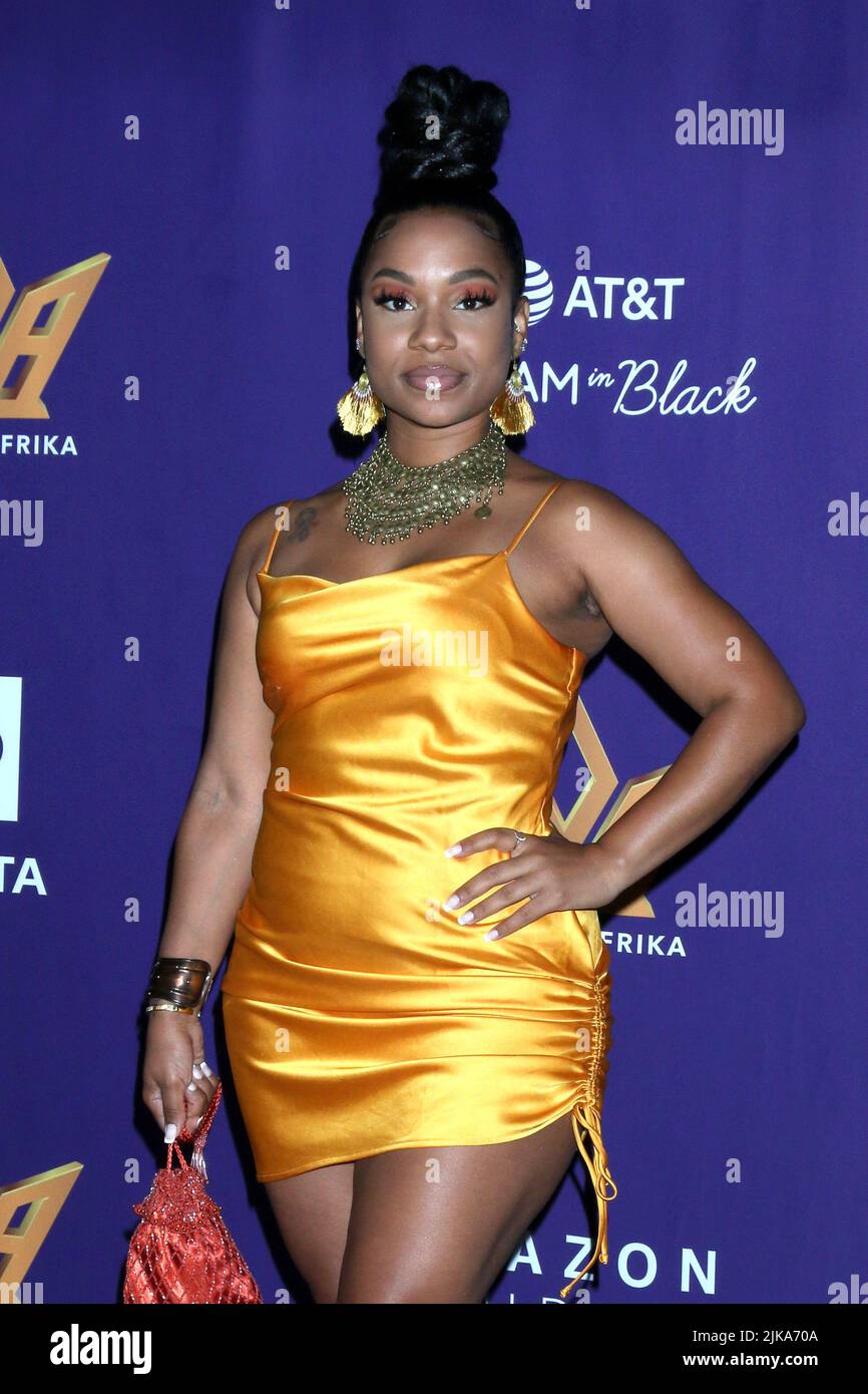 LOS ANGELES - JUL 31:  Nate Jones at the Heirs of Afrika 5th Annual International Women of Power Awards at the Sheraton Grand Hotel on July 31, 2022 in Los Angeles, CA Stock Photo