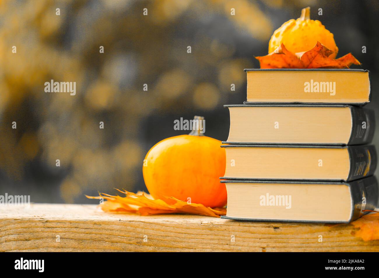 Back to school.Autumn thematic reading. Books and pumpkins set in autumn garden with the rays of the sun.Start school and college .Books on the autumn Stock Photo