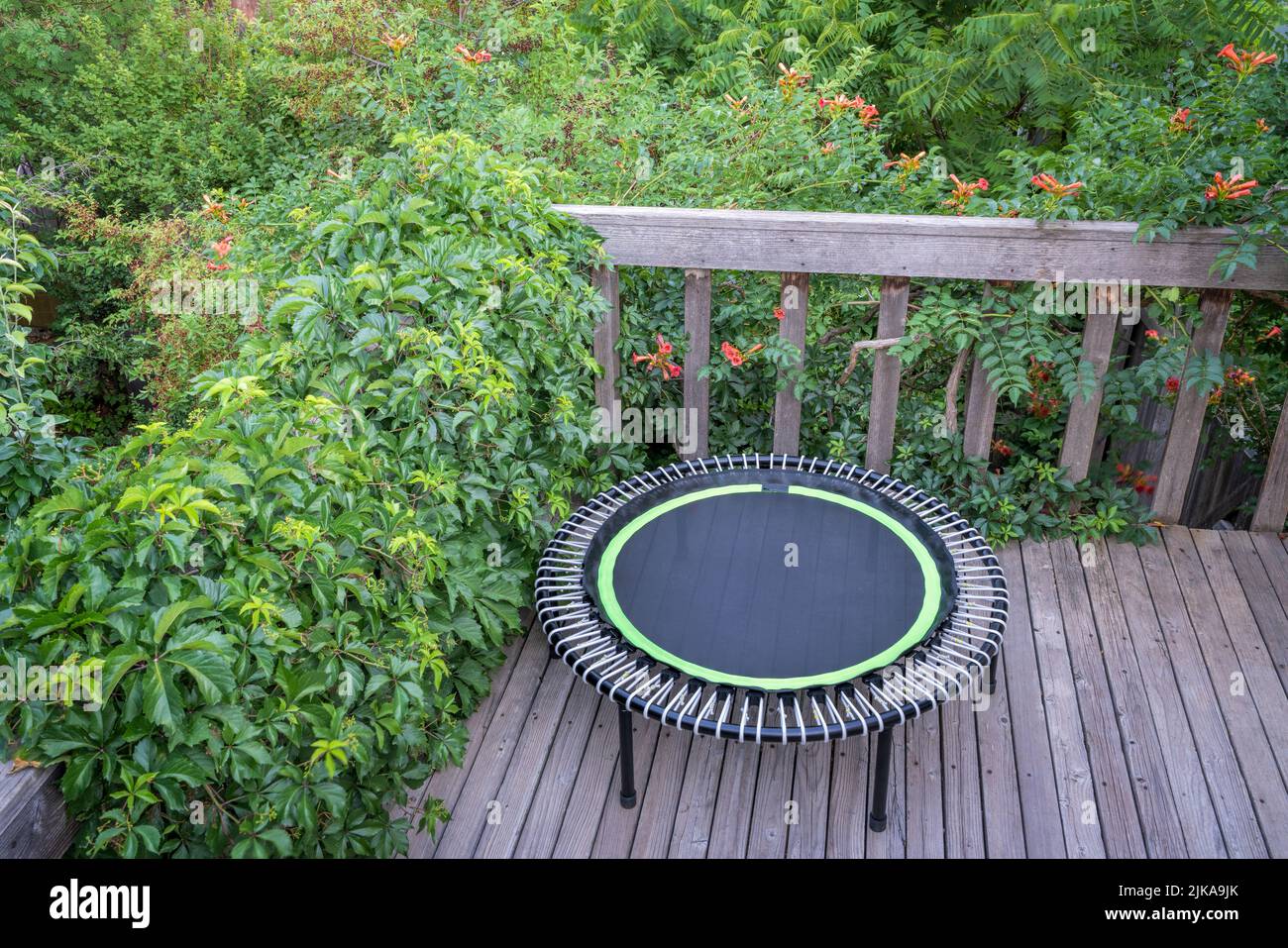 mini trampoline for fitness exercising and rebounding in a backyard patio Stock Photo