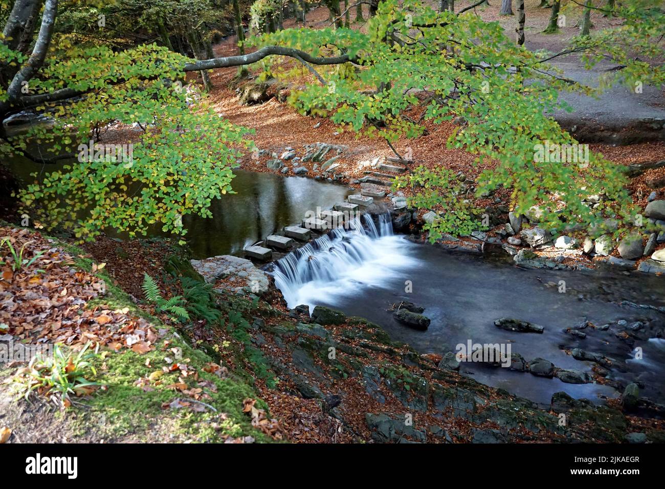 Long exposure photograph of the Stepping Stones on the Shimna River in Tollymore Forest Park, County Down, Northern Ireland Stock Photo