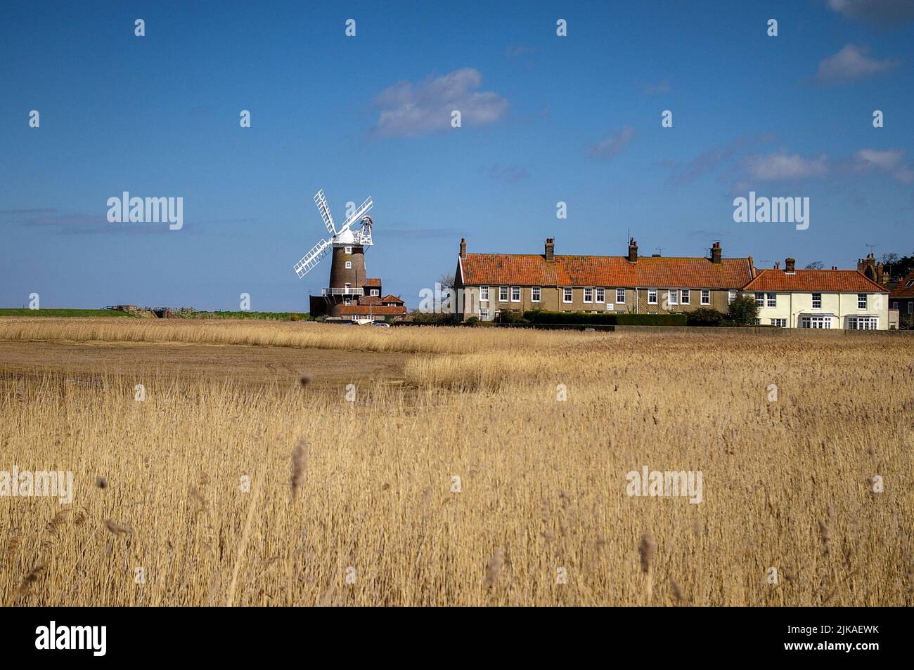 View across the reed beds to the iconic windmill in summer, Cley, North Norfolk, UK Stock Photo
