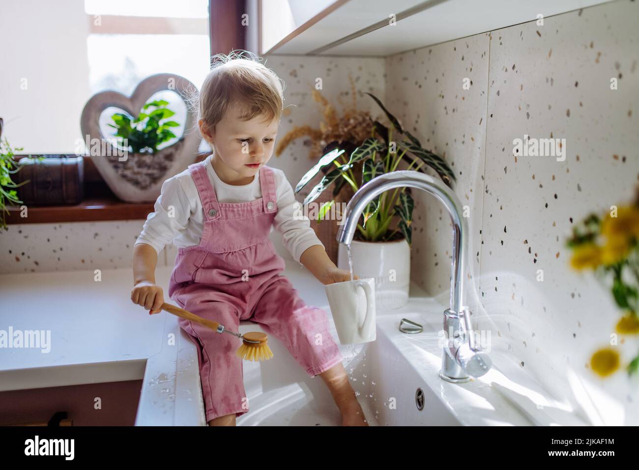 Little girl sitting on kitchen counter and washing cup in sink in kitchen. Stock Photo
