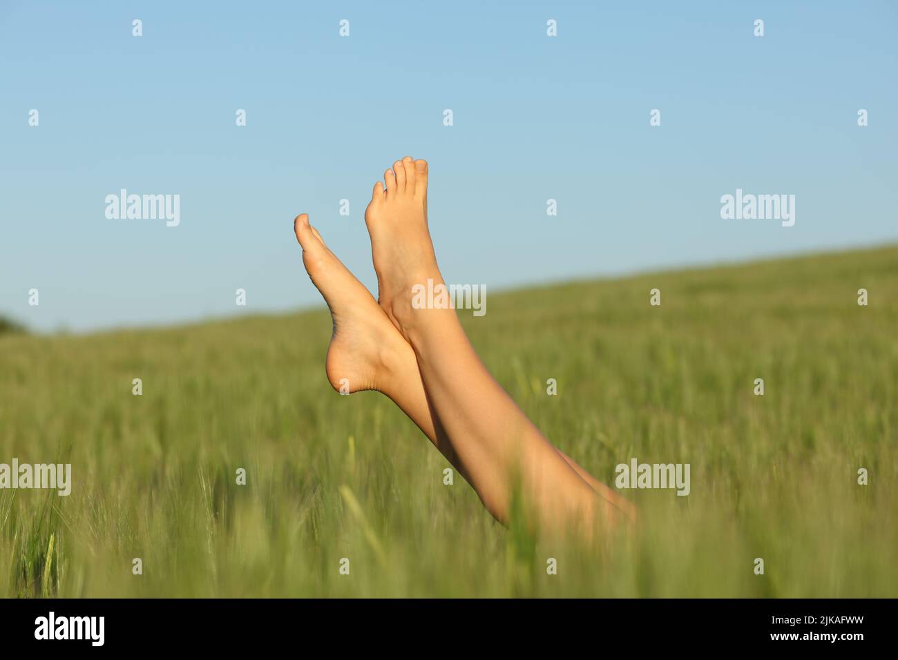 Close up portrait of a woman bare feet relaxed in a wheat field Stock Photo