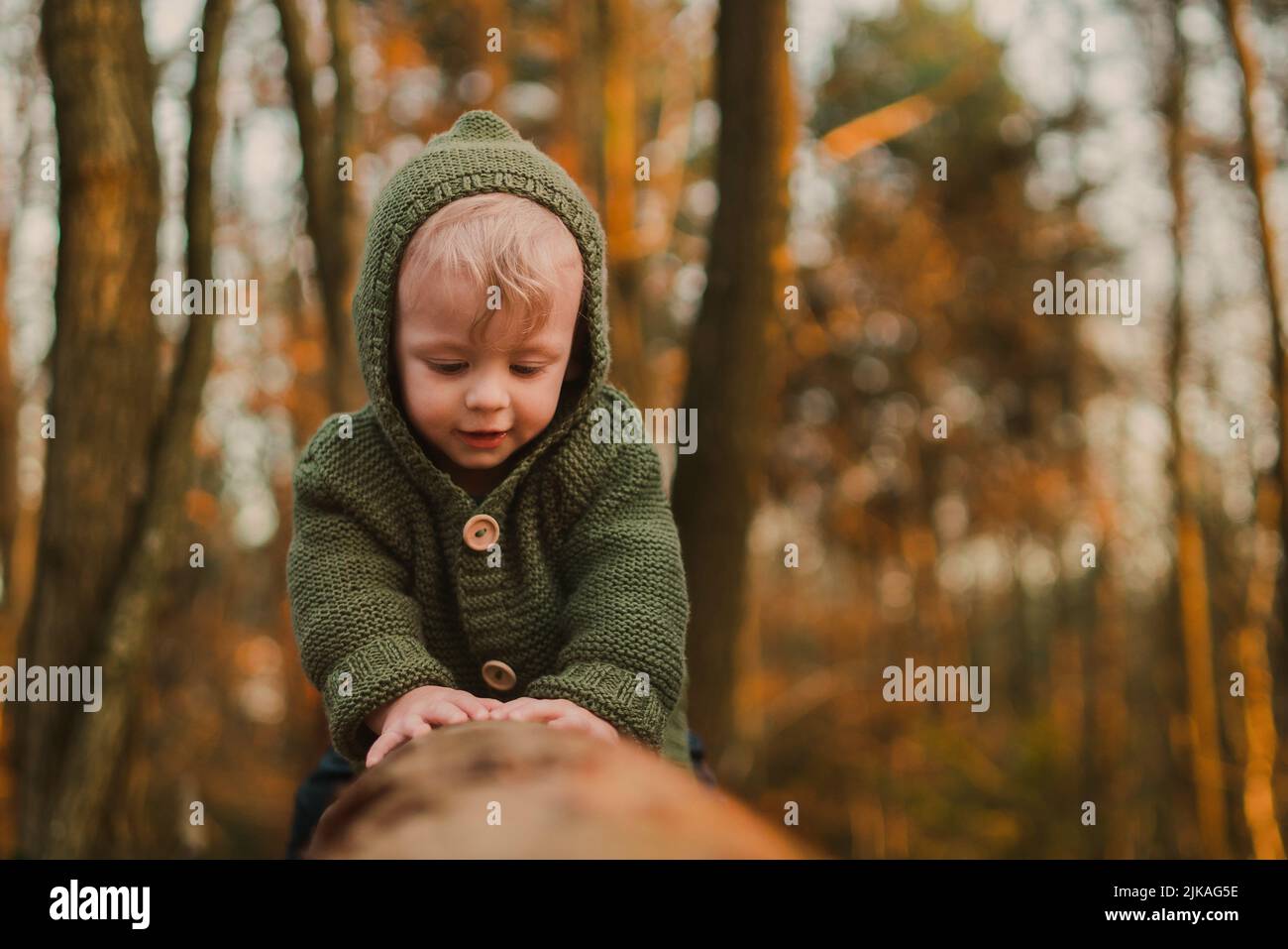Little curious boy on walk in nature, sitting in tree stump. Stock Photo