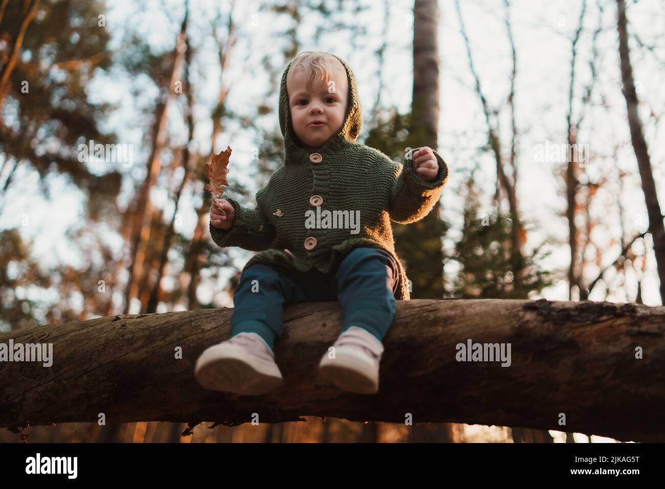 Low angle view of little curious boy on walk in nature, sitting in tree. Stock Photo
