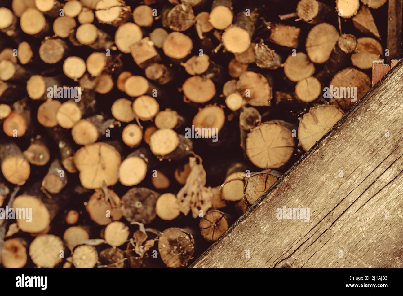 brown timber stock round wood logs background Stock Photo