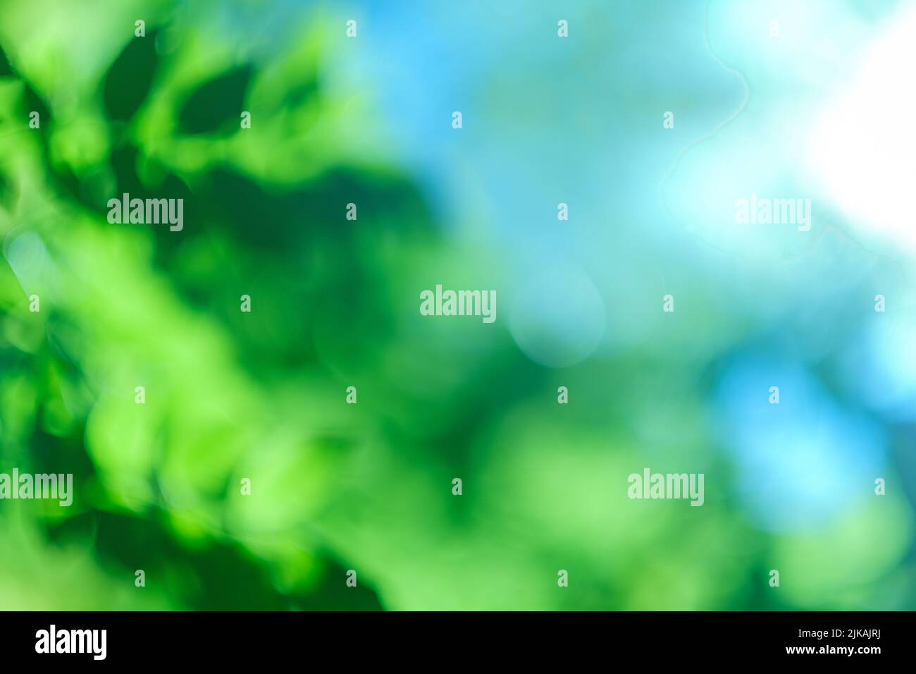 blur green leaves blue sky nature background Stock Photo - Alamy