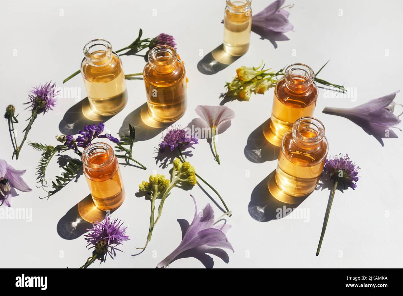 Selection of essential oils, with herbs and flowers on white background ...