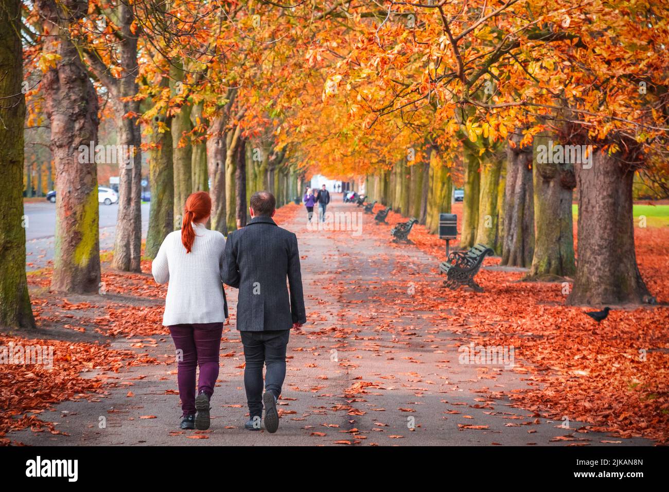 Couple walking on a treelined path in Greenwich park during autumn season in London, England Stock Photo