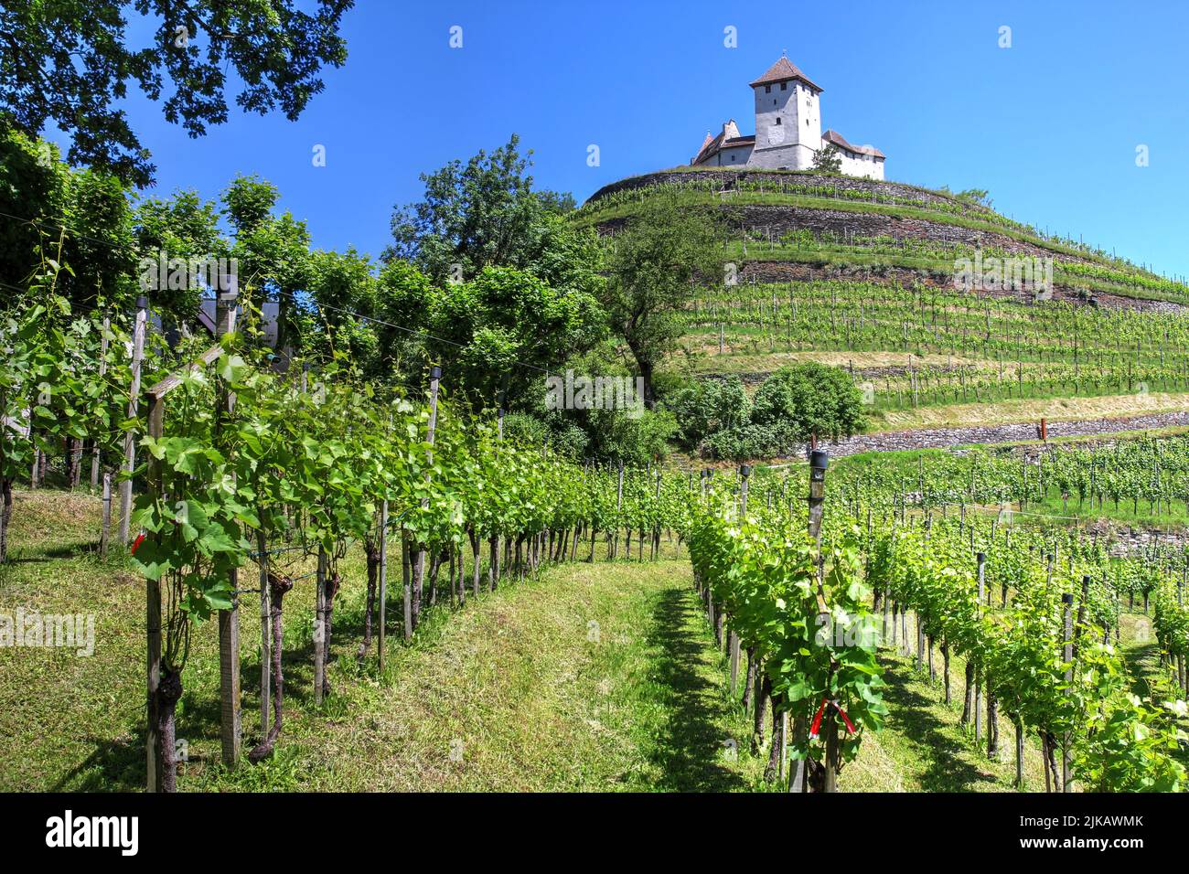 Gutenberg Castle towering above vineyards in Balzers municipality of Liechtenstein. Stock Photo
