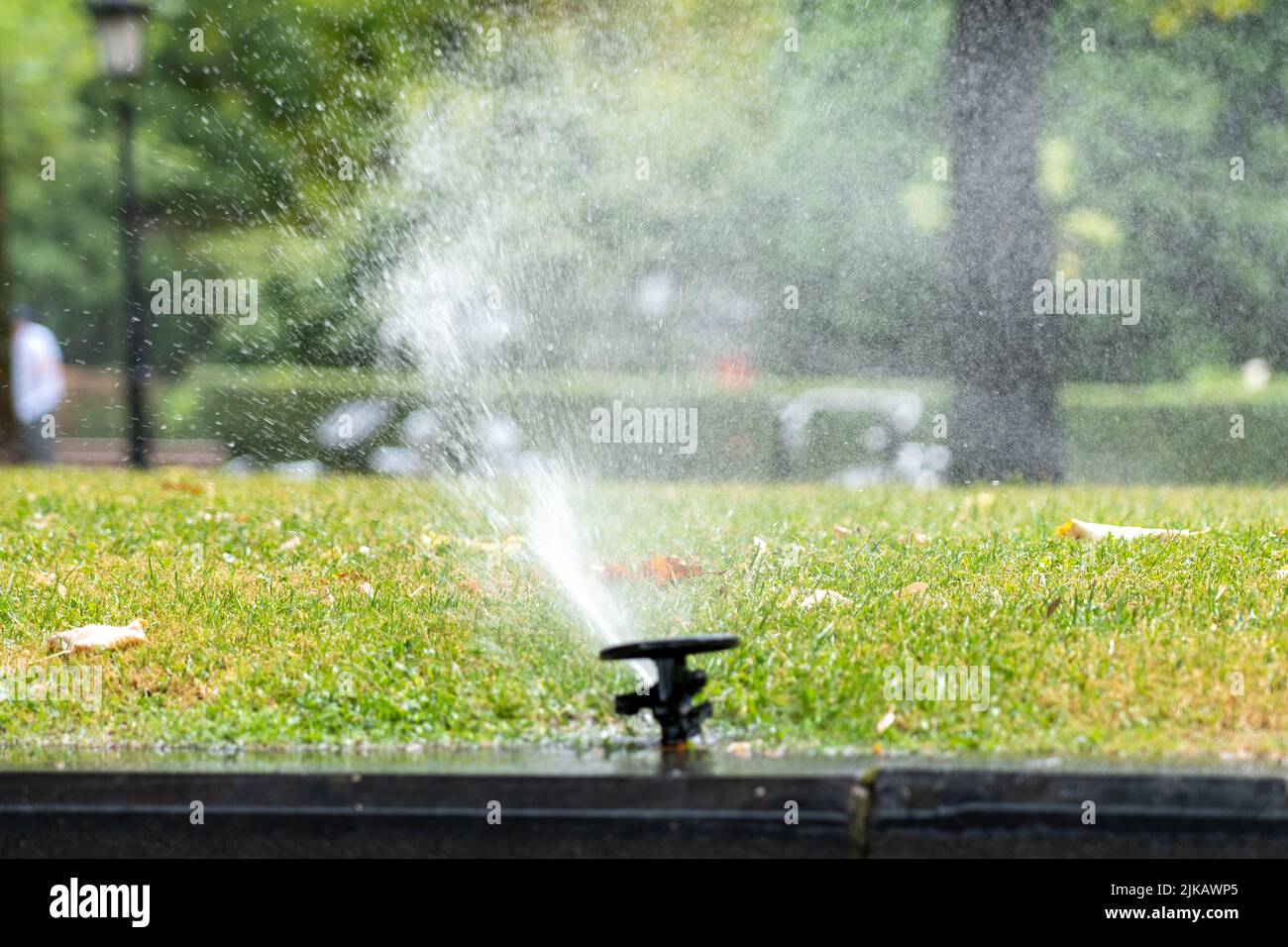 Automatic watering sprinkler sprays jets of water on green grass