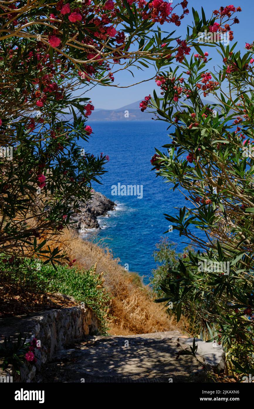 view from a path on the island of Hydra in Greece in Summer Stock Photo
