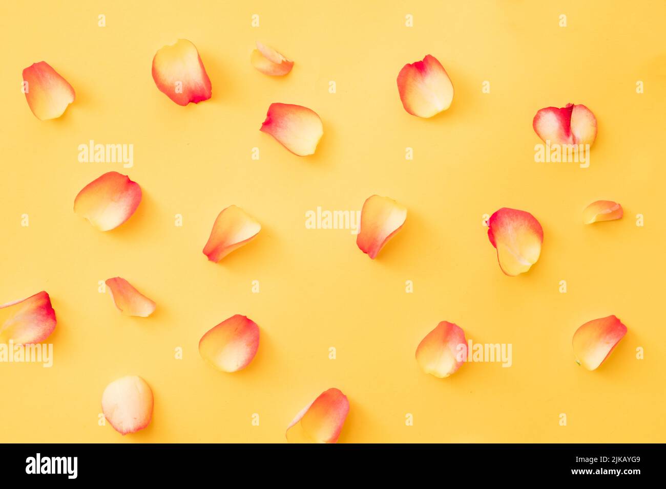 Scattered rose petals hi-res stock photography and images - Alamy
