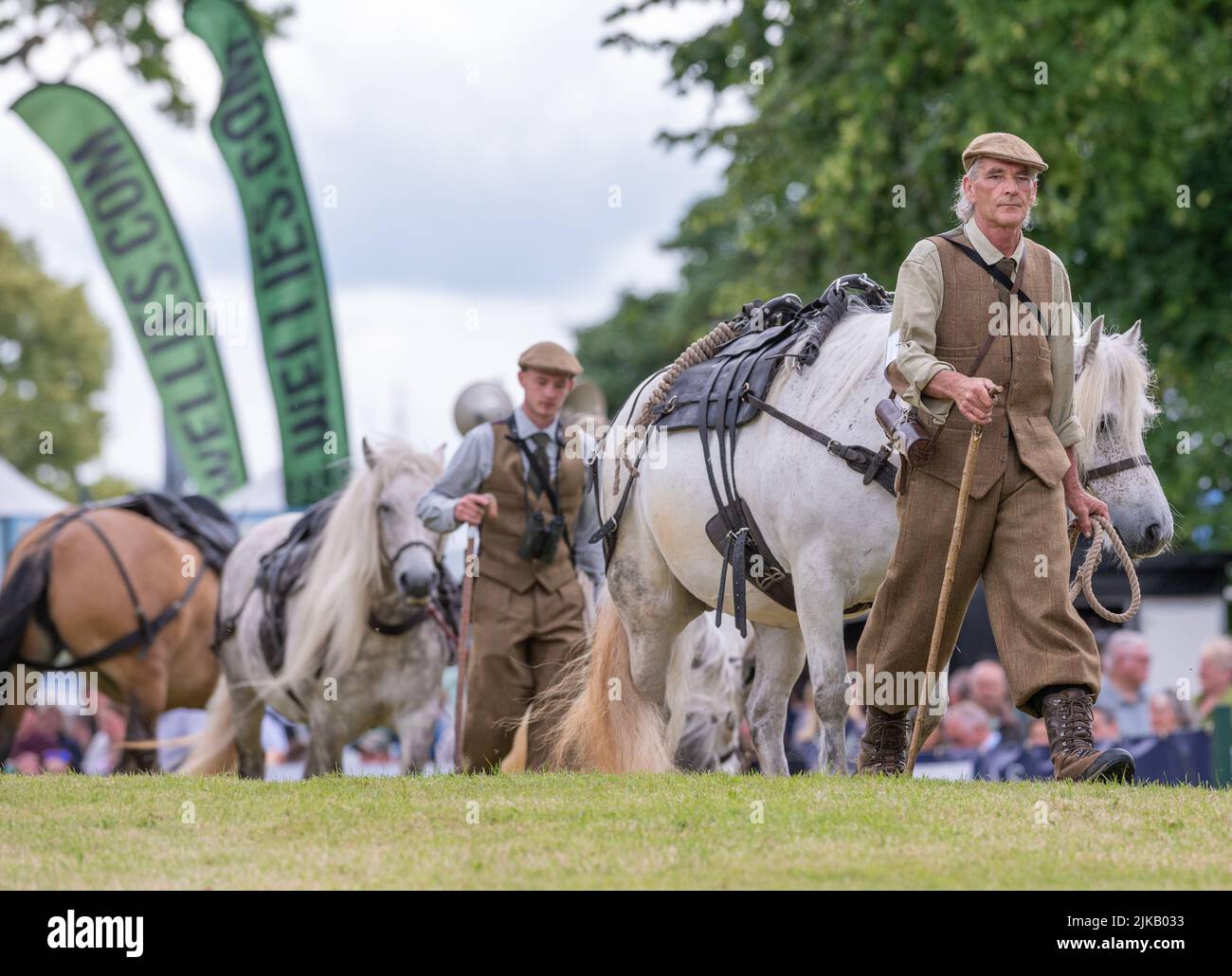 GWCT Scottish Game Fair 2022 at Scone Palace, Perthshire. The Fred Taylor Memorial Hill Pony Competition Stock Photo