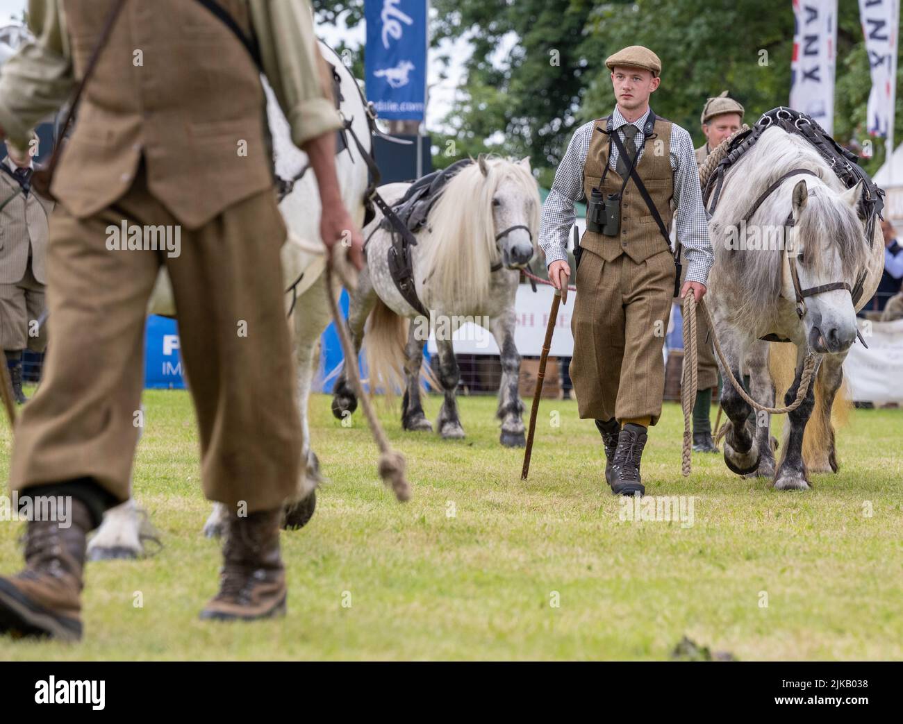 GWCT Scottish Game Fair 2022 at Scone Palace, Perthshire. The Fred Taylor Memorial Hill Pony Competition Stock Photo