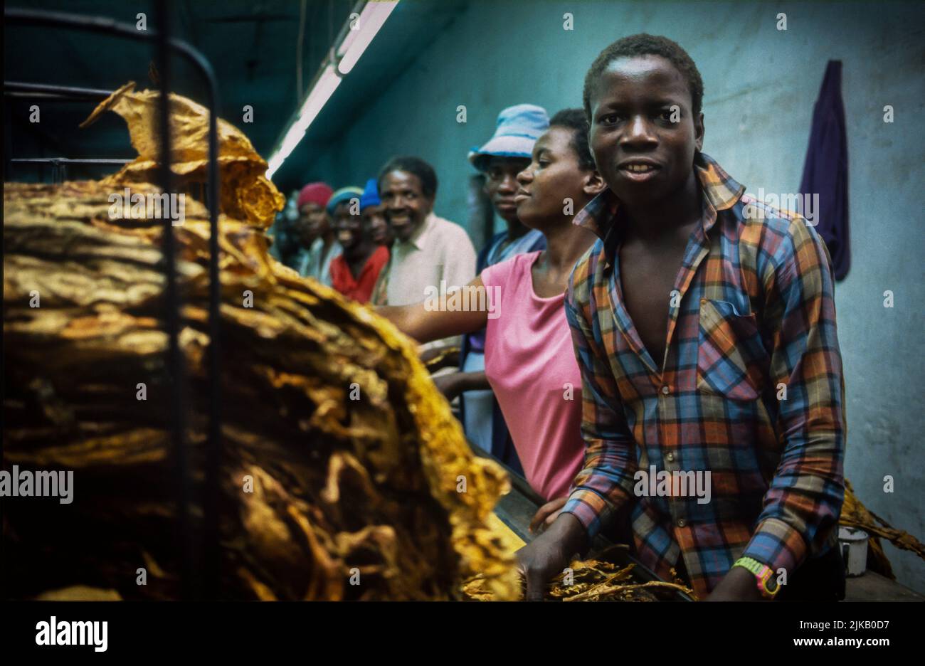Production line in a tobacco factory in Africa. 1994 Stock Photo
