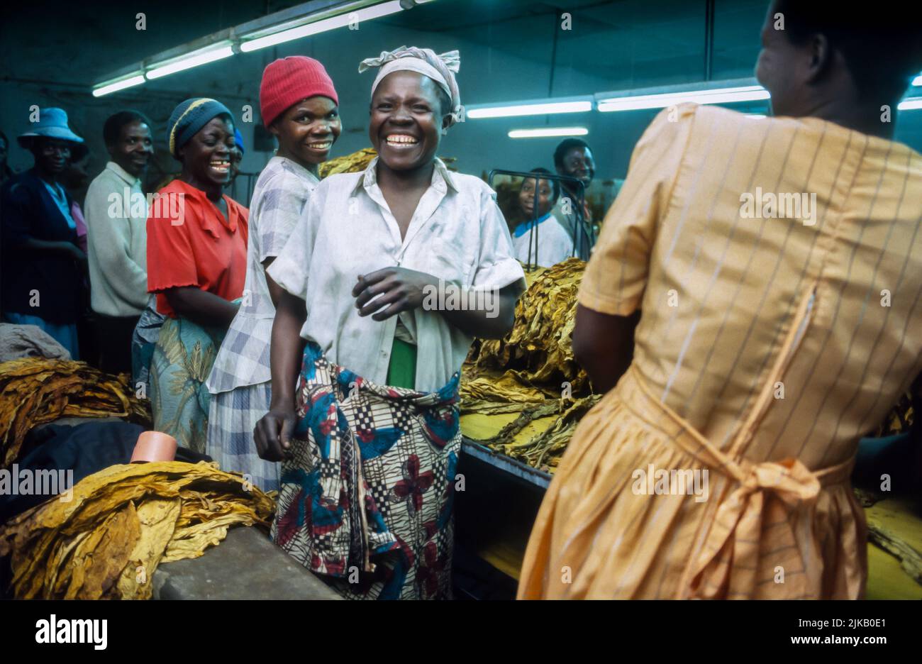 Smiling workers on a production line in a tobacco factory in Zimbabwe. Stock Photo