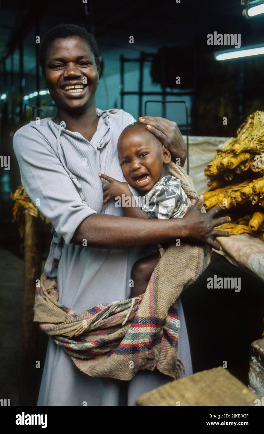 Young mother holding a crying baby on the production line at a tobacco factory, Africa Stock Photo