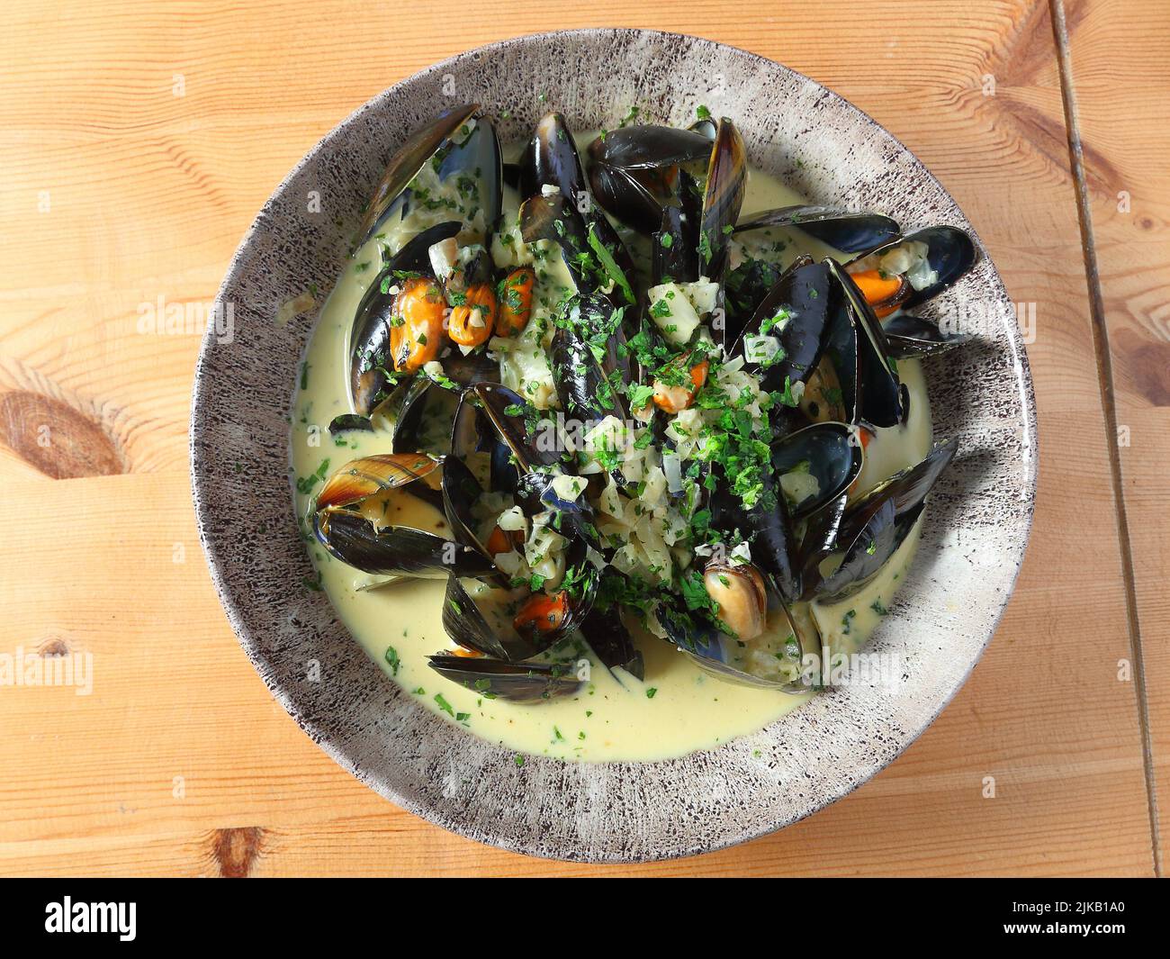 Cooked mussels in a cream sauce presented in a dish Stock Photo