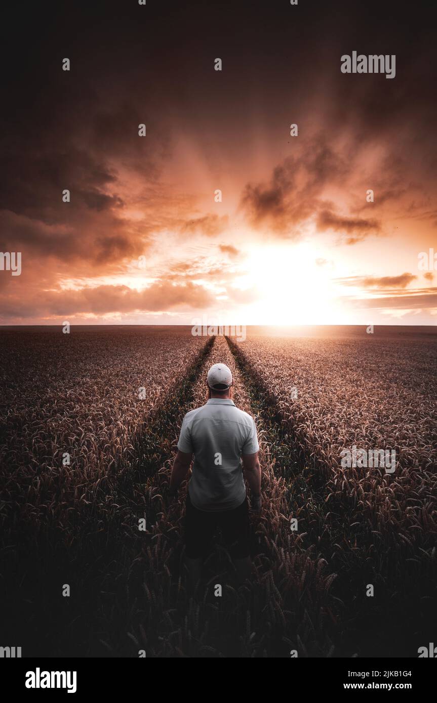 Stood in a wheat field, providing a lovely sunset. UK: THESE STUNNING images of a lone traveller crossing incredible landscapes prove how the UK is on Stock Photo