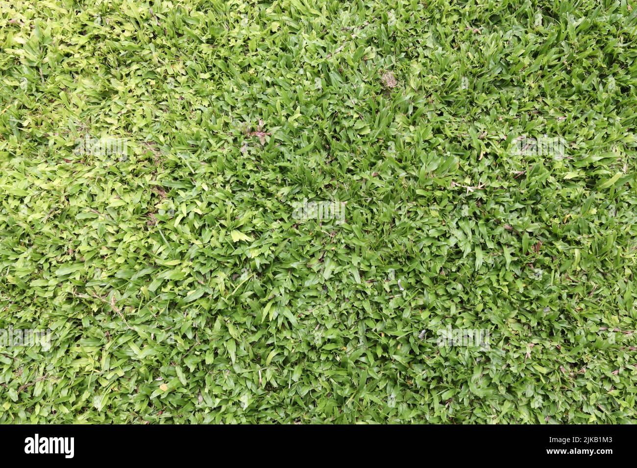 Seamless football soccer wallpaper background hi-res stock photography ...