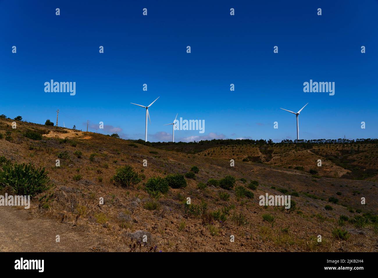 Wind turbines in Western Algarve, Portugal Stock Photo