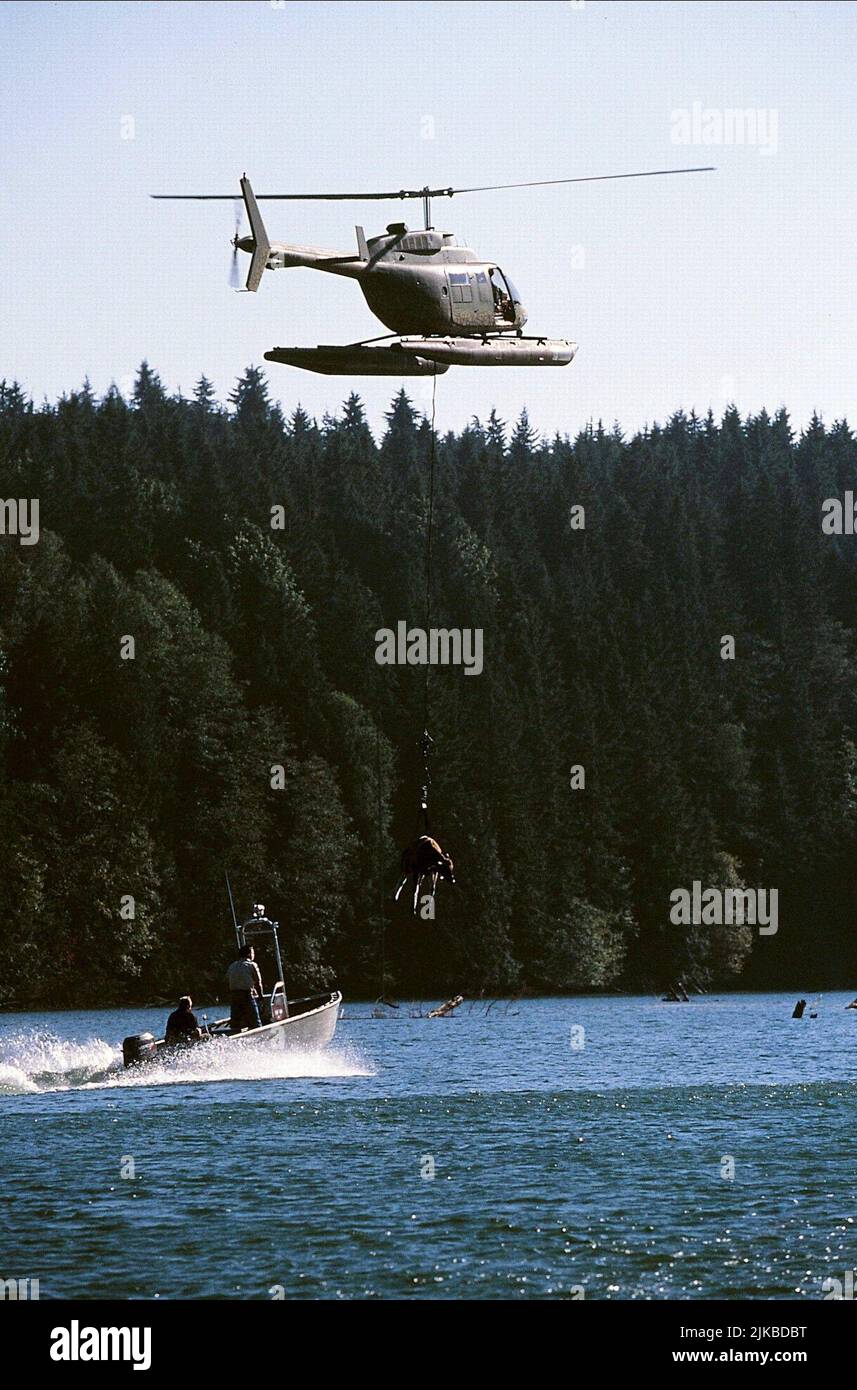 Helicopter & Cow Scene Film: Lake Placid (USA 1999) / Tv-Titel: "Lake Placid  - Der Schrecken Aus Der Tiefe Director: Steve Miner 15 July 1999  **WARNING** This Photograph is for editorial use