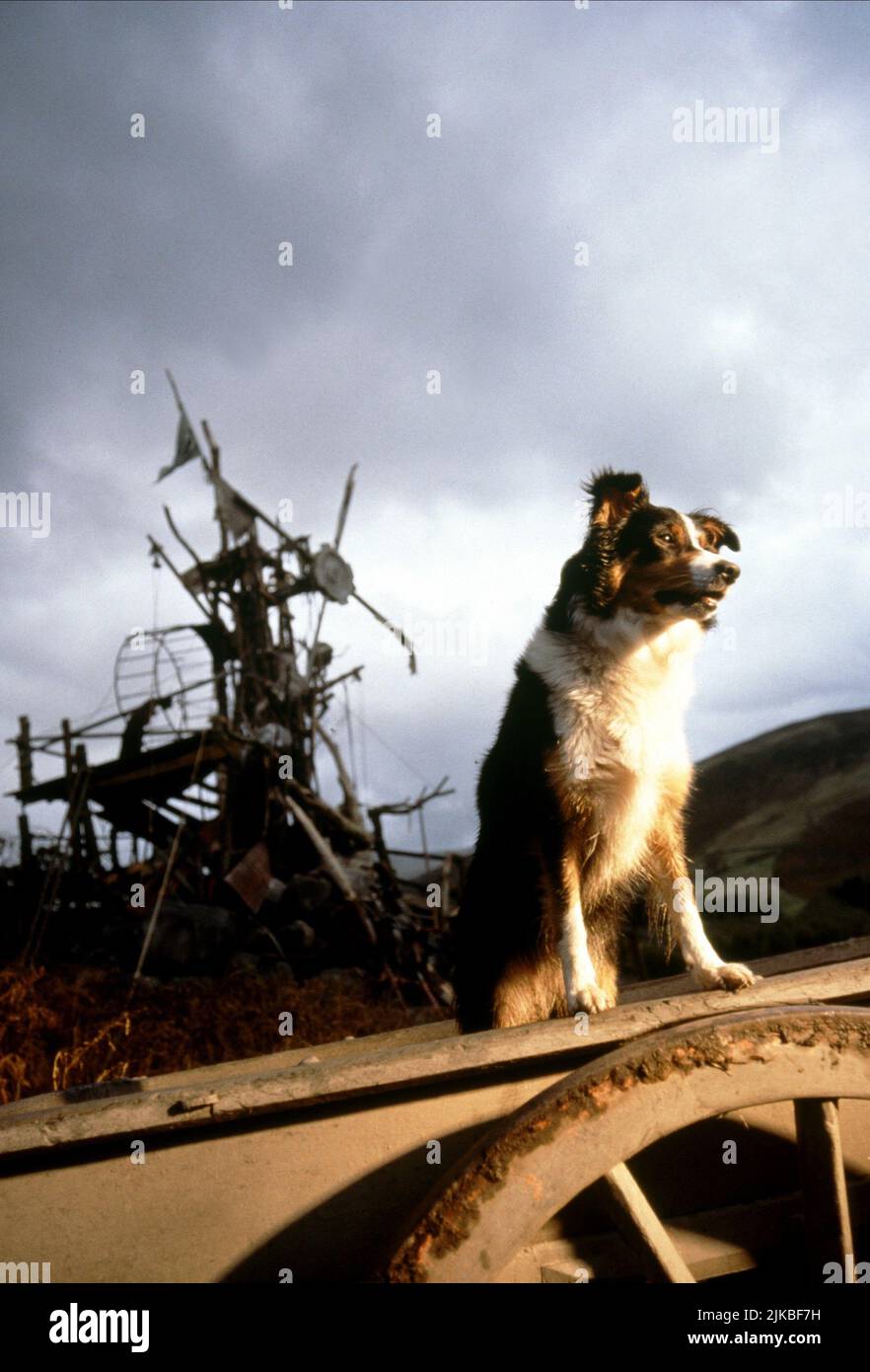 Animal farm film still hi-res stock photography and images - Alamy Animal farm film still hi-res stock photography and images - Alamy