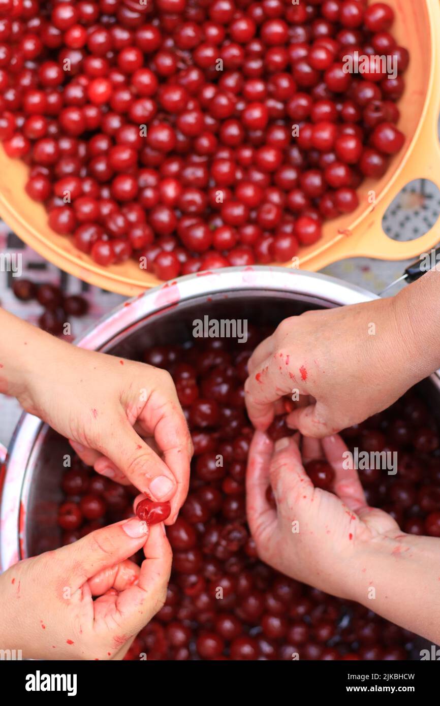 sour cherry for jam Stock Photo