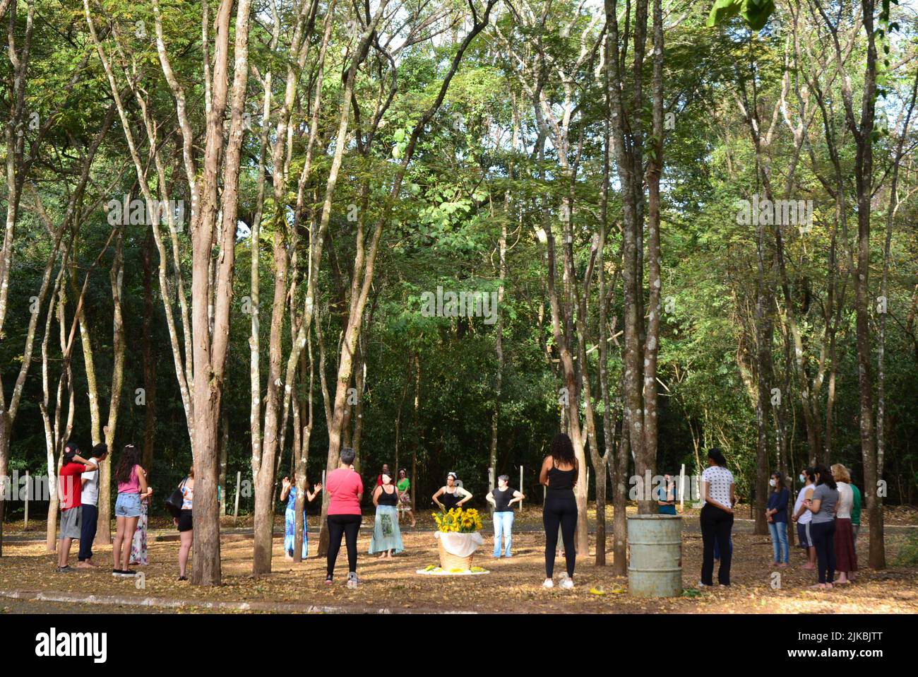 Marília, São Paulo, Brazil, - July 17, 2022: People doing Yoga class in the city's public forest, panoramic photo Stock Photo