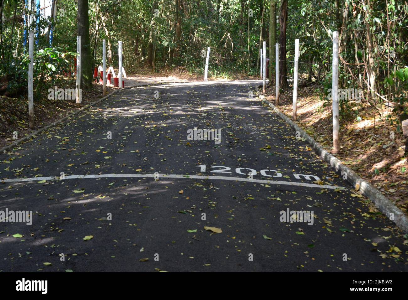 Park, Walking spot with 1,200 meter marking on asphalt floor, Brazil, South America Stock Photo