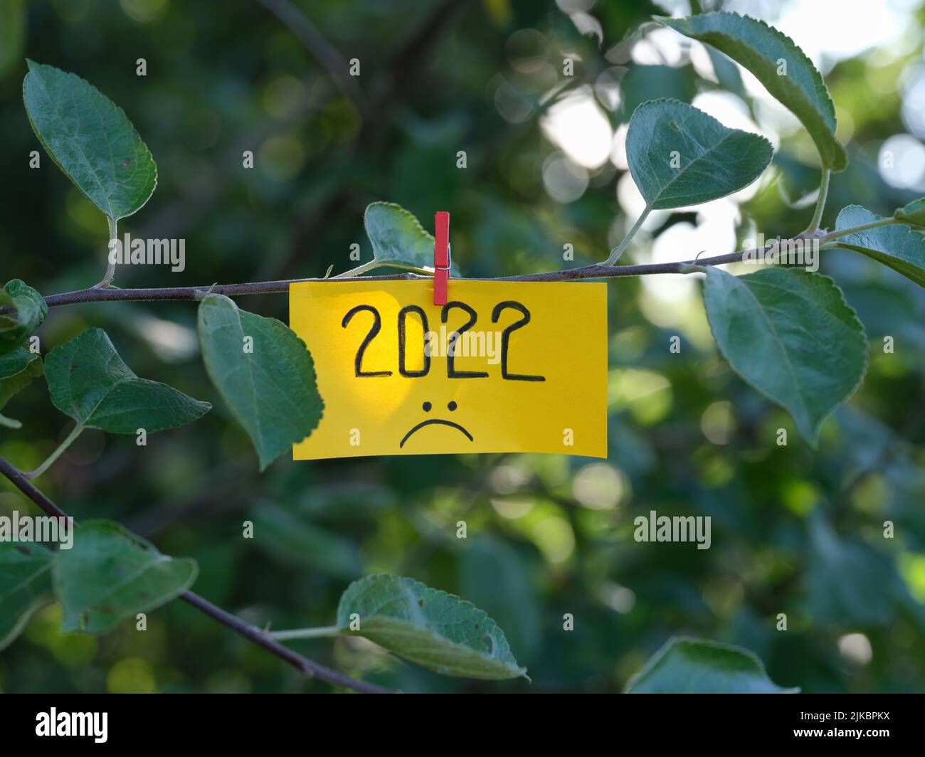 A yellow paper note with the year 2022 and a sad face on it attached to a tree with a clothes pin. Close up. Stock Photo