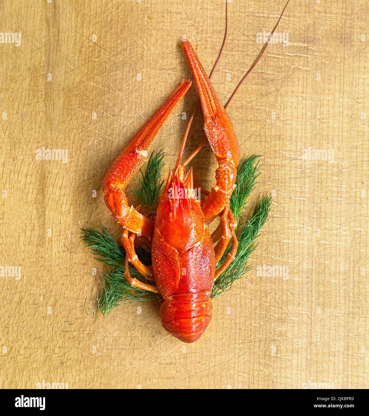 Boiled Crayfish On A Cutting Board Stock Photo Alamy Boiled Crayfish On A Cutting Board Stock Photo Alamy