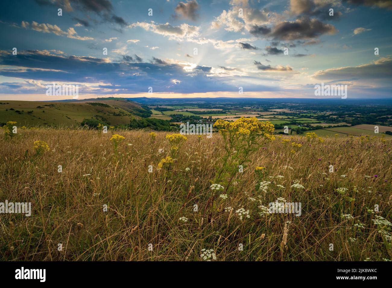 The South Downs countryside at Devil's Dyke near Brighton in East Sussex, England. uK Stock Photo
