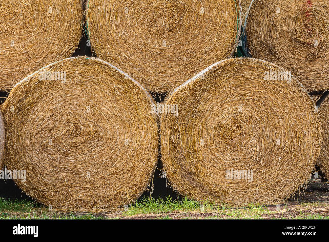 Details Bales of hay at the edge of the field after harvest. Bales of straw next to each other. and hay pressed into straw bales. Structures of dry go Stock Photo
