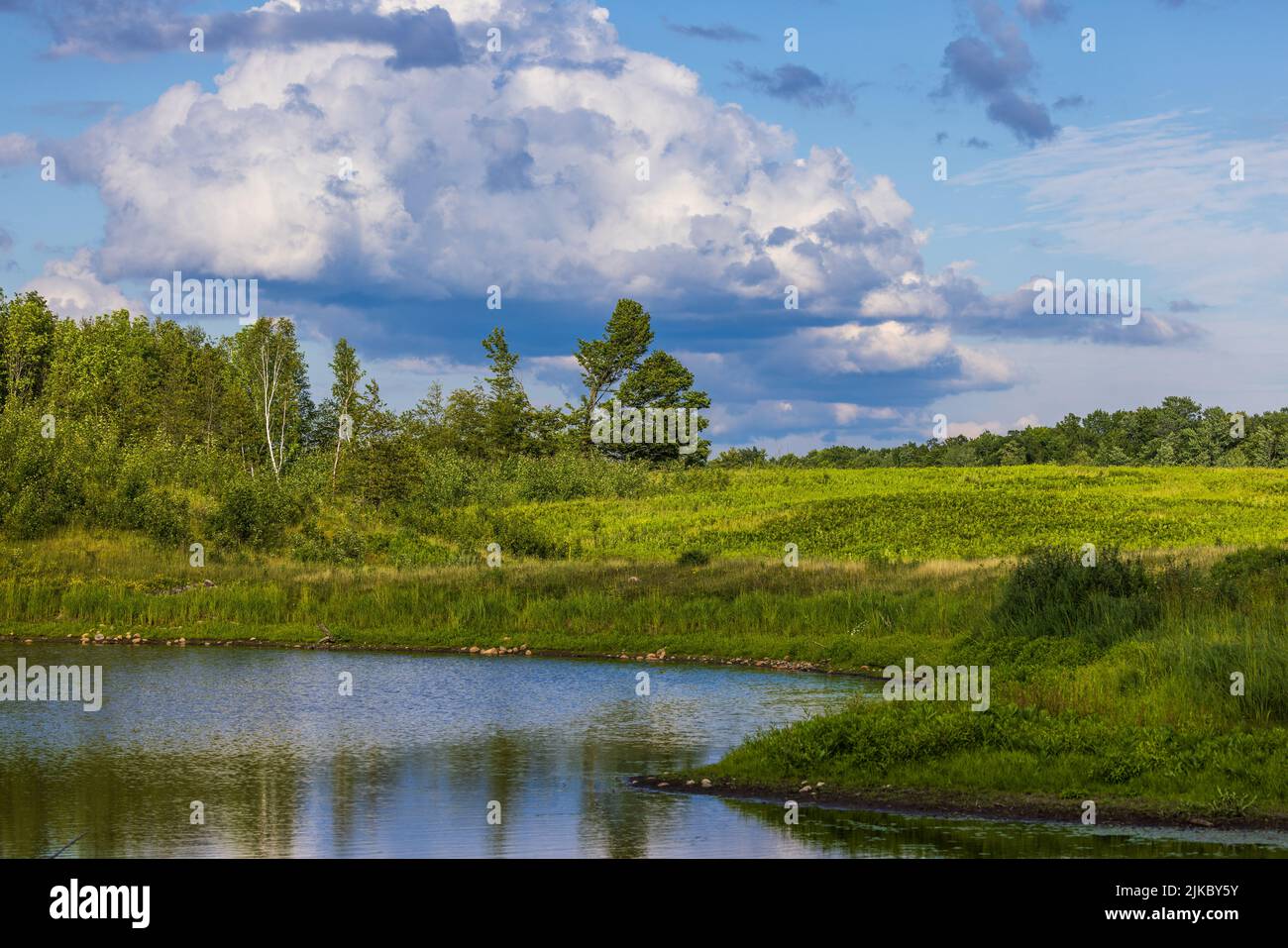 Farmer's field on a pretty summer day in northern Wisconsin. Stock Photo
