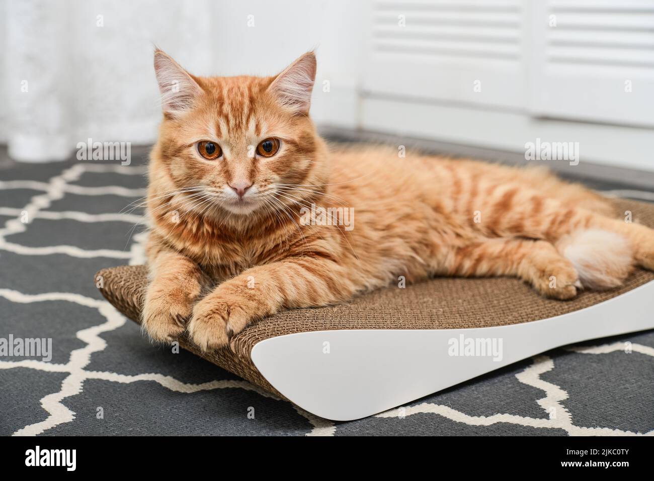 Tinklylife Cat Condo Scratcher Post Cardboard Green Color