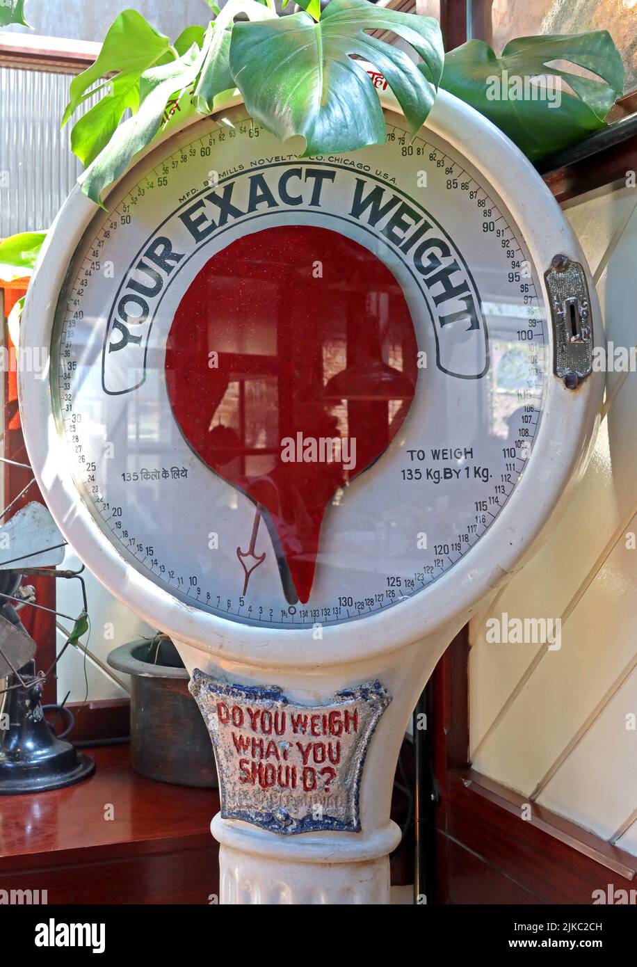 Your Exact Weight Do You Weigh what you should? Coin operated