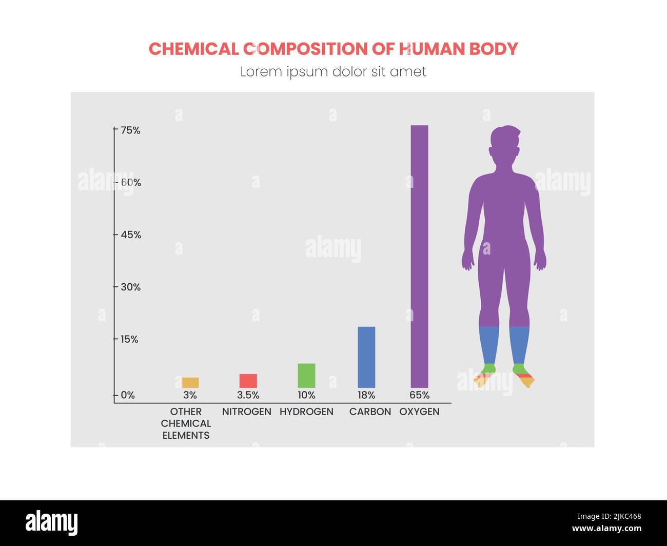 Chemical Composition Of Human Body Concept For Medical Infographic. Stock Vector