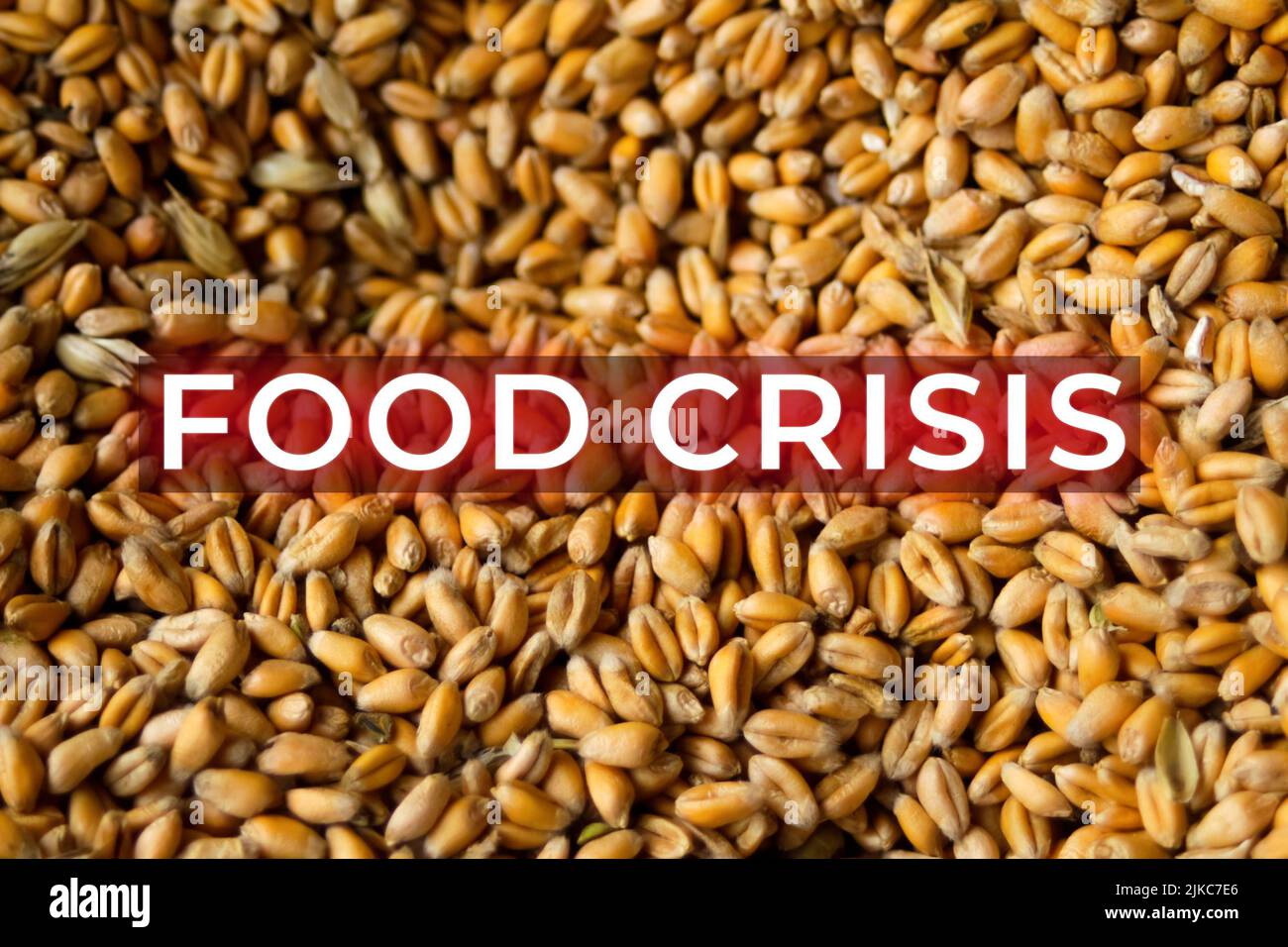 Food crisis. Global and European grain and wheat crisis, Ukraine ...